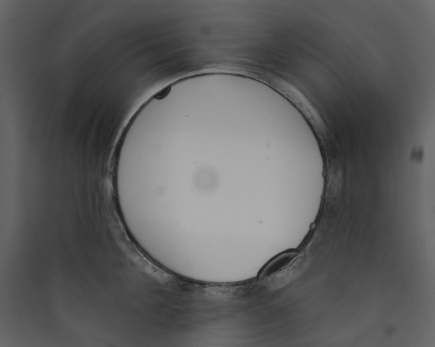 X0000089390908200707131717
