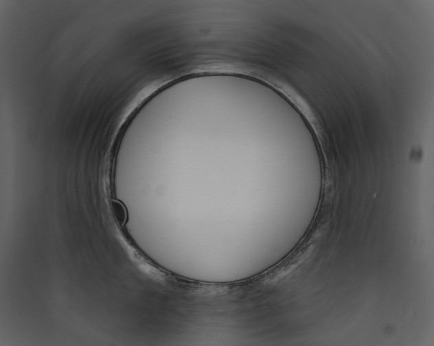 X0000089390909200707131717