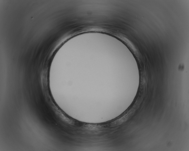 X0000089390910200707131717
