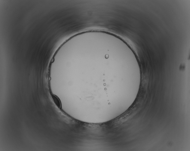 X0000089390911200707131717