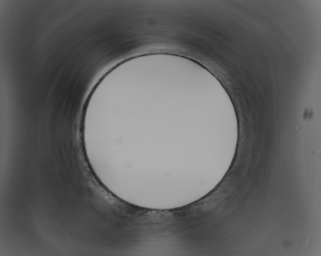 X0000089390912200707131717