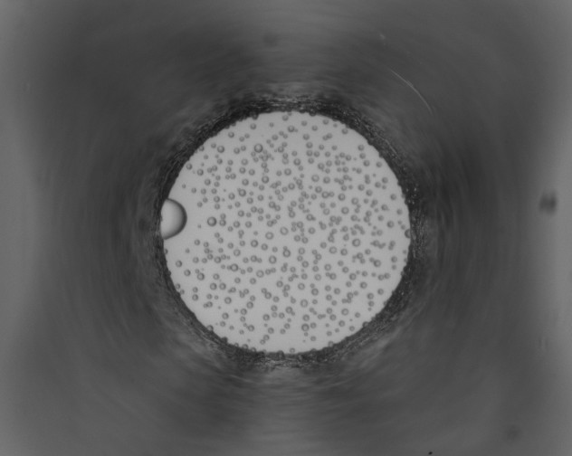X0000089390913200707131716