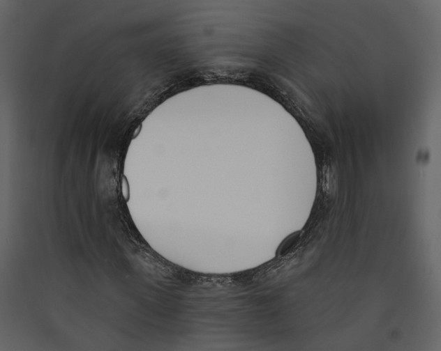 X0000089390915200707131716