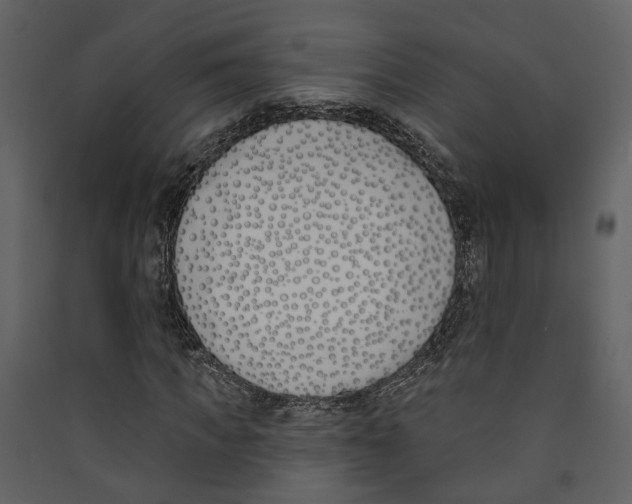 X0000089390917200707131716