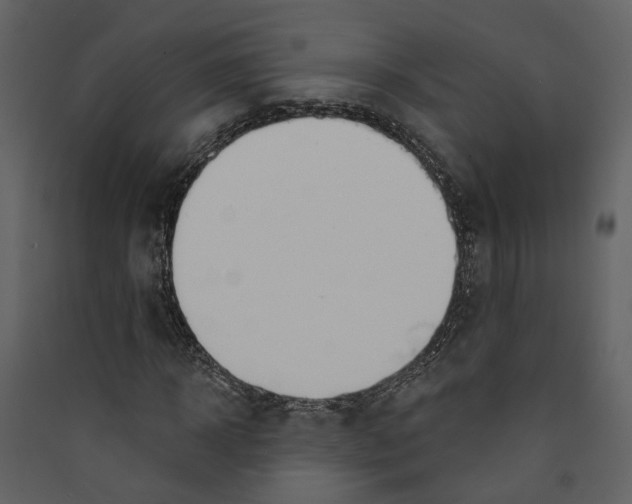 X0000089390918200707131716