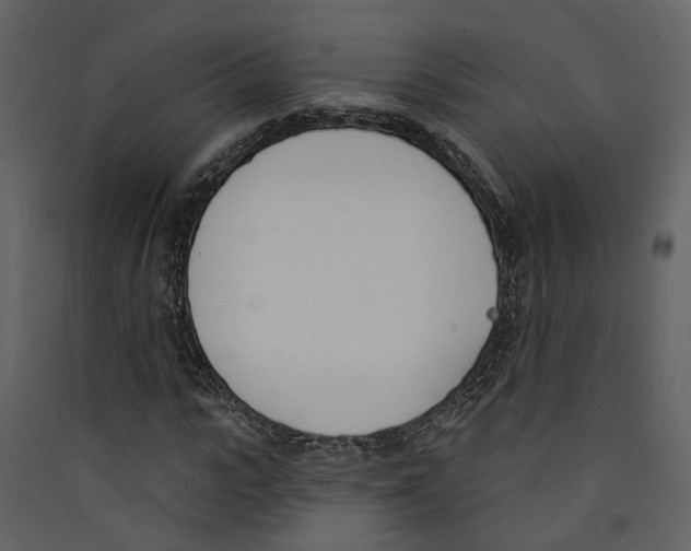 X0000089390919200707131716