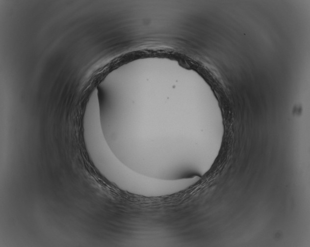 X0000089390920200707131716