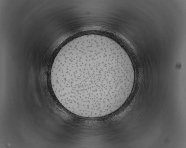 X0000089390921200707131716