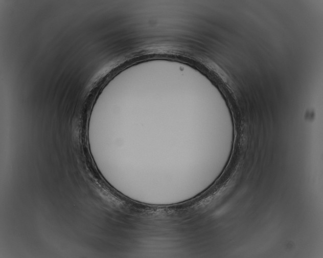 X0000089390922200707131716