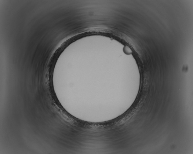 X0000089390923200707131716