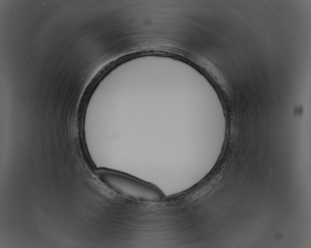 X0000089390924200707131716