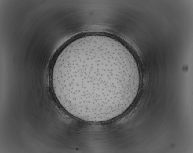 X0000089390925200707131716
