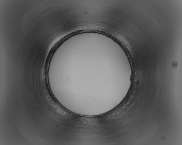 X0000089390928200707131716
