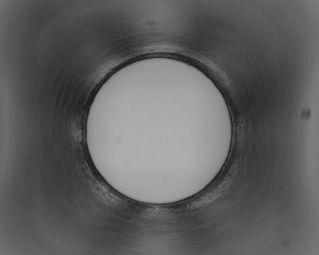 X0000089390929200707131716