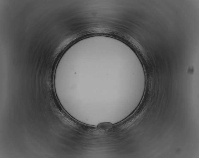 X0000089390930200707131716