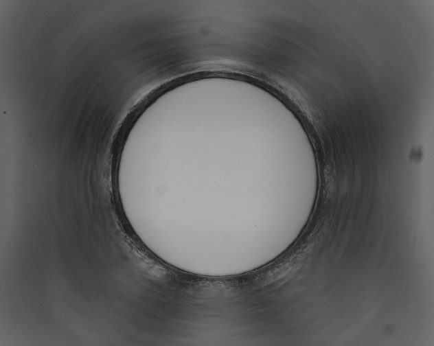X0000089390931200707131716