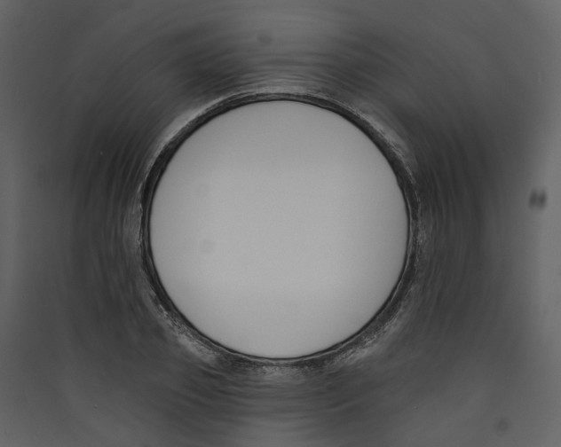 X0000089390933200707131716