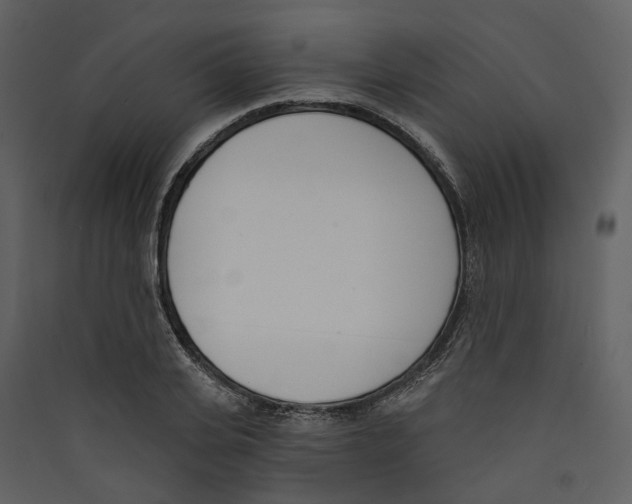 X0000089390935200707131716