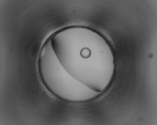 X0000089390936200707131716