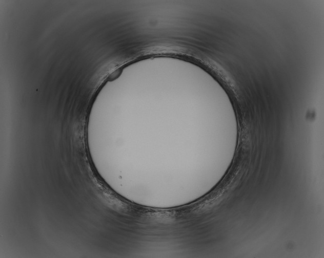 X0000089390937200707131716