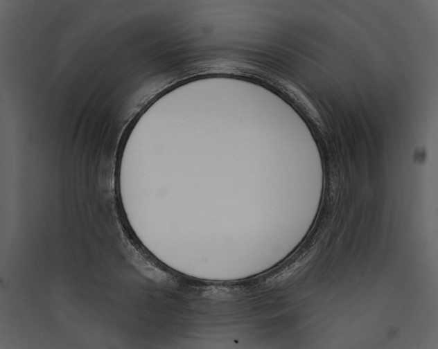 X0000089390938200707131716