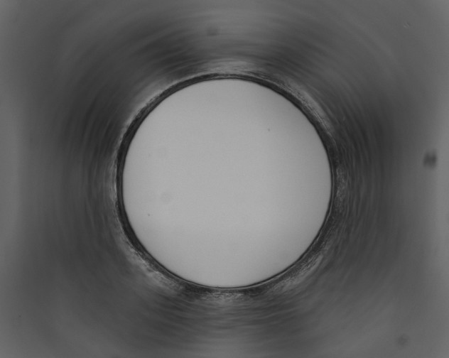 X0000089390939200707131716