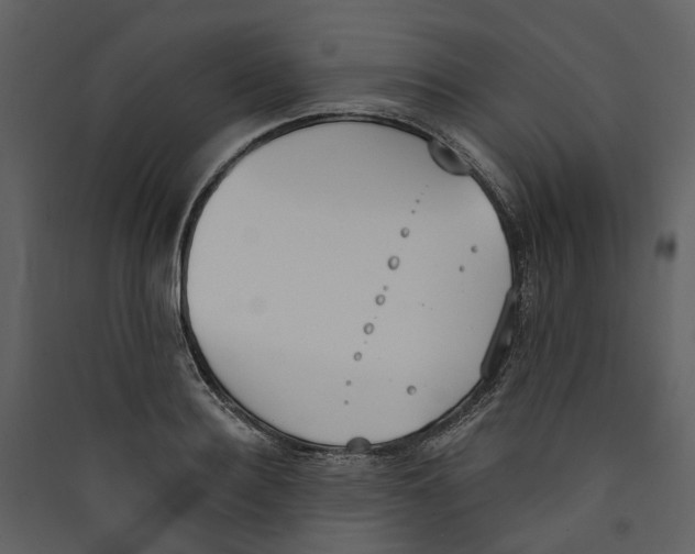 X0000089390940200707131716