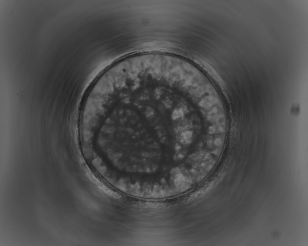 X0000089390941200707131716
