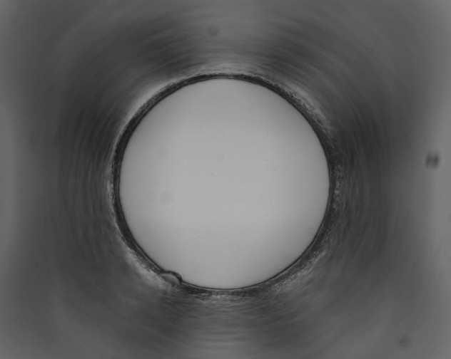 X0000089390942200707131716