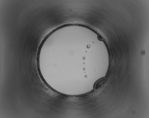 X0000089390943200707131716