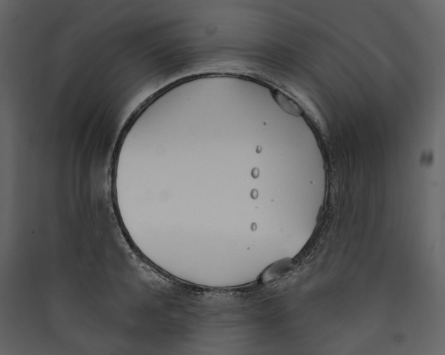 X0000089390944200707131716