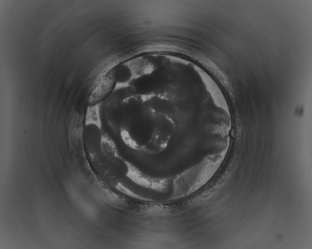 X0000089390945200707131716