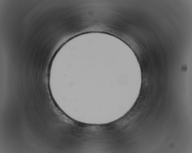 X0000089390950200707131716