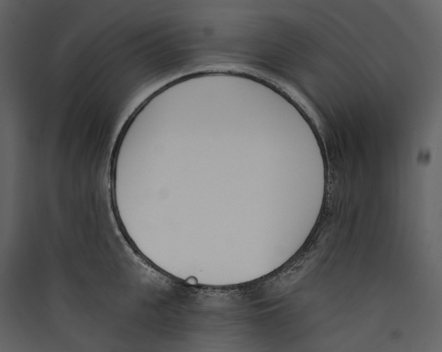 X0000089390951200707131716