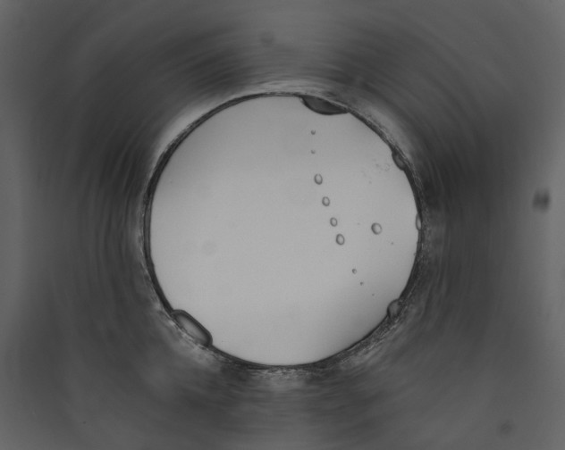 X0000089390952200707131716