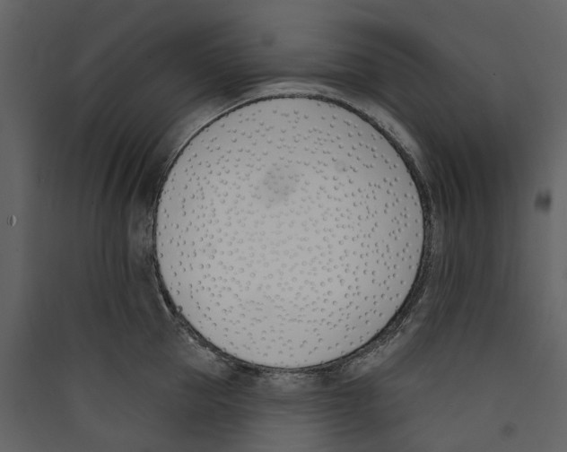 X0000089390953200707131716