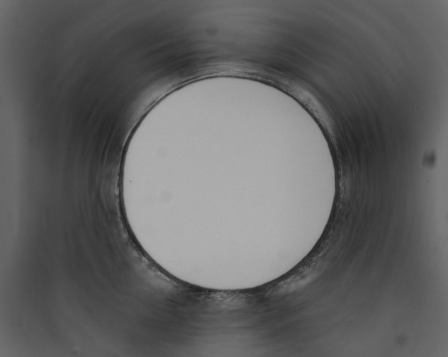 X0000089390954200707131716