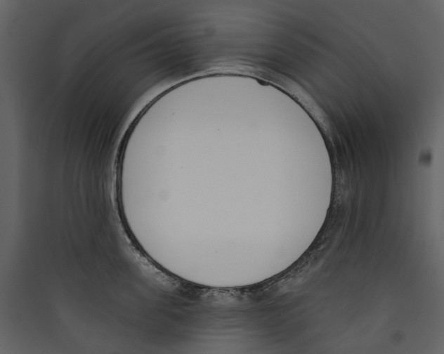 X0000089390955200707131716