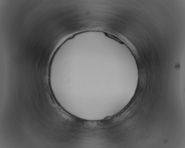 X0000089390956200707131716
