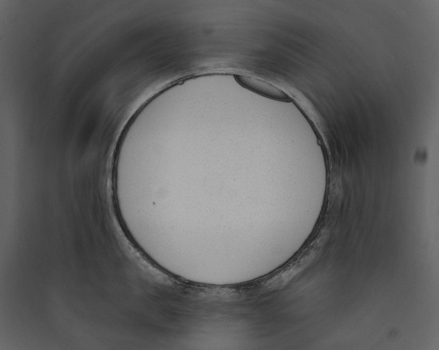 X0000089390957200707131717