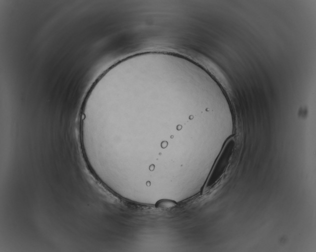 X0000089390958200707131717