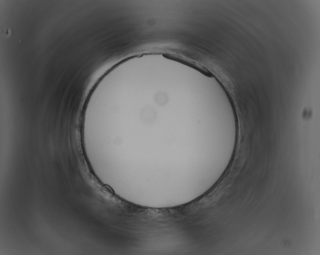 X0000089390960200707131717
