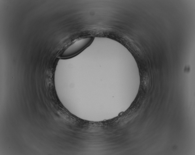 X0000089390964200707131716
