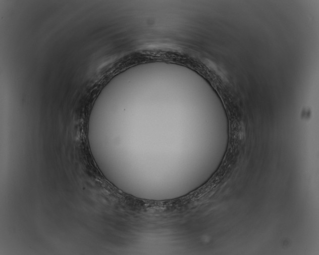 X0000089390965200707131716