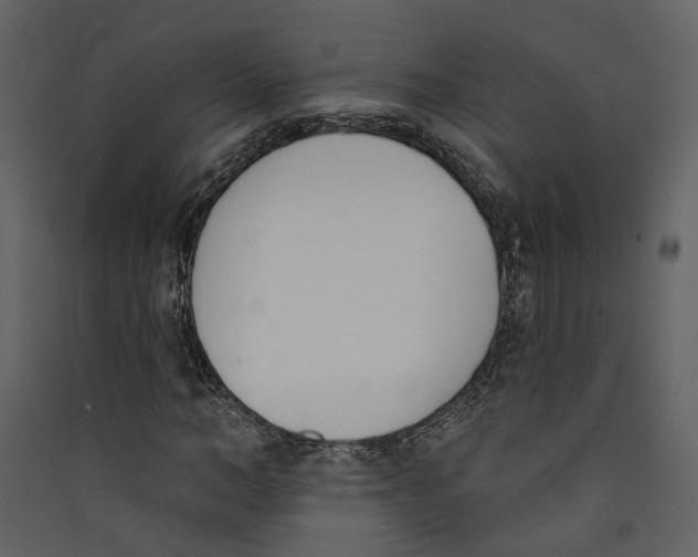 X0000089390966200707131716