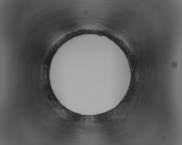 X0000089390968200707131716