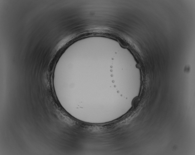 X0000089390970200707131716