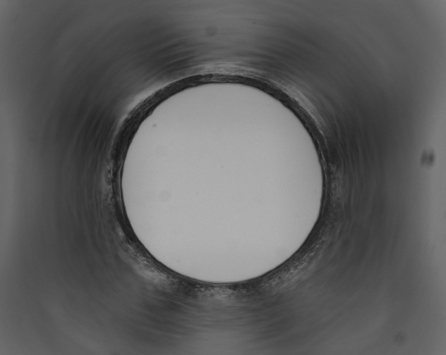 X0000089390971200707131716