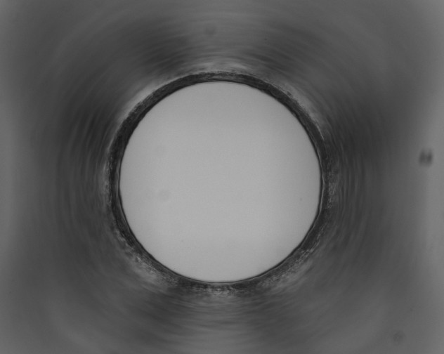 X0000089390975200707131716