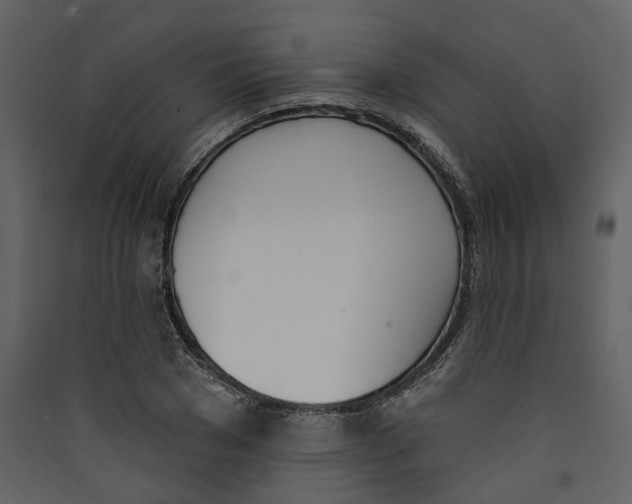 X0000089390977200707131716